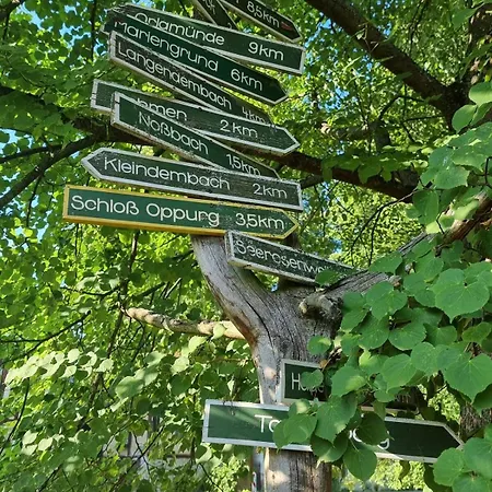 Wunderschoene Ferienwohnung In Thueringen * Langenorla