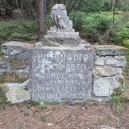 Wunderschoene Ferienwohnung In Thueringen Apartment Langenorla