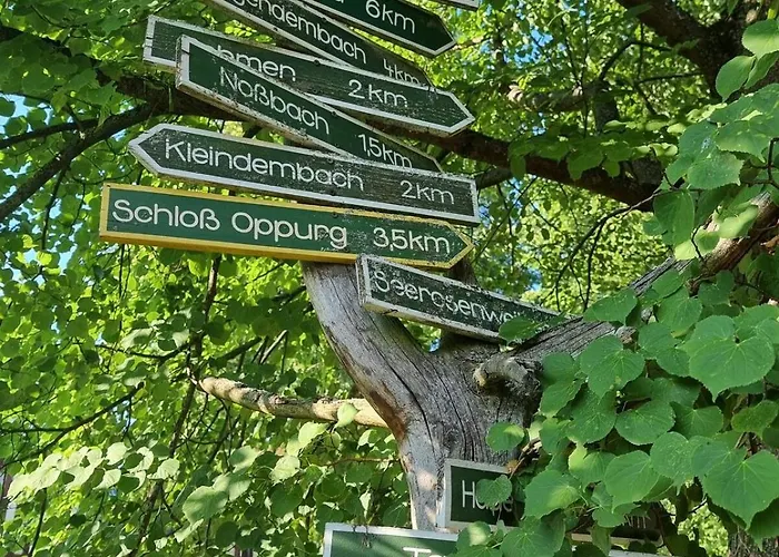 Wunderschoene Ferienwohnung In Thueringen * Langenorla